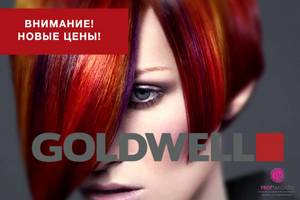 Частичная коррекция цен на краску для волос ™ GOLDWELL PROFESSIONAL